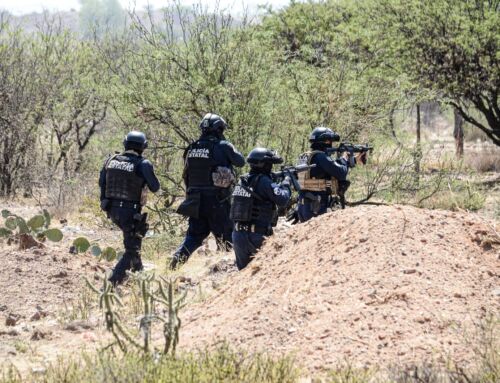 Fuerzas de Seguridad localizan y rescatan a siete víctimas de privación ilegal de la libertad en Jerez