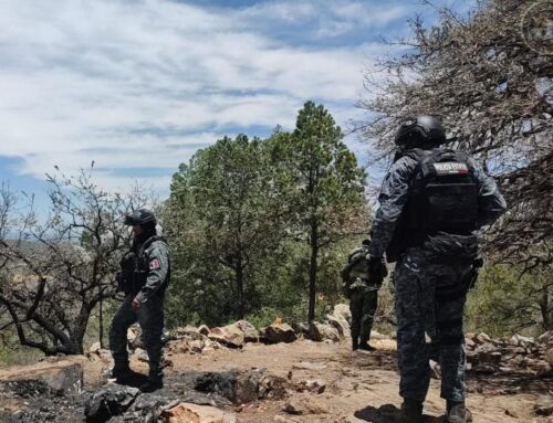 Fuerzas de Seguridad desmantelaron campamentos utilizados por un grupo delincuencial en Sombrerete