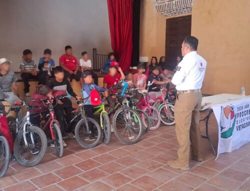 Concluyen con éxito curso de verano que promueve la prevención y la convivencia en Vetagrande