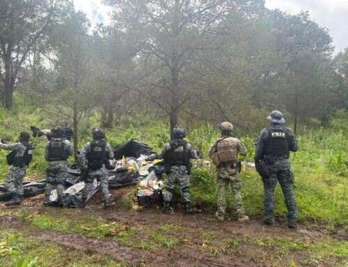 Desmantelan Fuerzas de Seguridad campamento utilizado por grupo delictivo; aseguran vehículo, cartuchos y probable droga