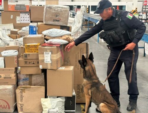Detecta FRIZ paquete sospechoso durante inspecciones preventivas en empresas de paquetería