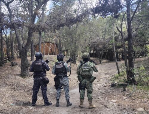 Localizan y desmantelan Fuerzas de Seguridad área utilizada para elaboración de drogas sintéticas en Sombrerete