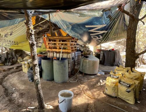 Localizan área acondicionada para elaboración de drogas sintéticas, en Fresnillo