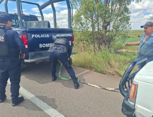 Refuerza PEP y Policía Municipal la seguridad carretera y auxilian a conductor