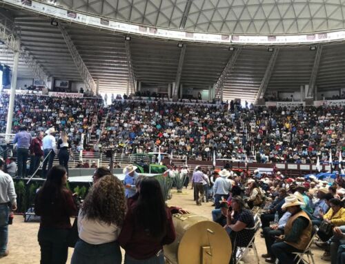 Refuerzan corporaciones de seguridad vigilancia durante actividades de la FENAZA 2026