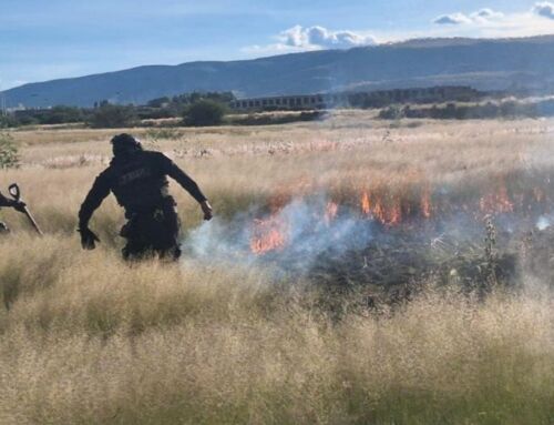 Elementos de la FRIZ sofocan incendio de pastizal en Guadalupe