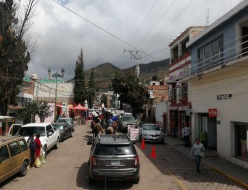 Brinda PEP y Policía Municipal acompañamiento preventivo durante cabalgata en Pinos